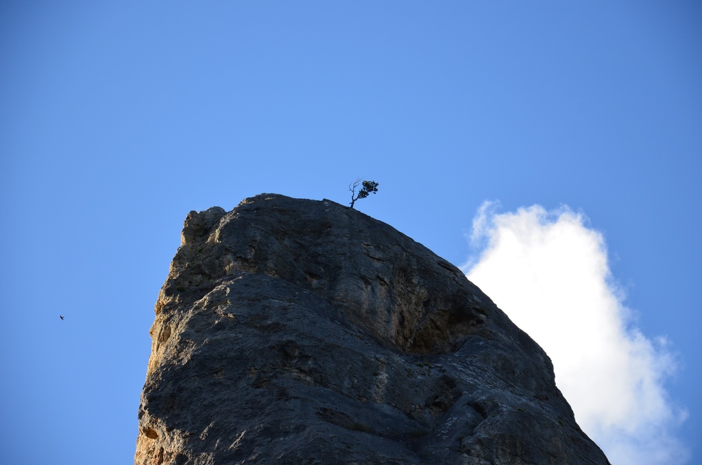 2015-07 Savoie/Lac blanc/DSC_0359.JPG